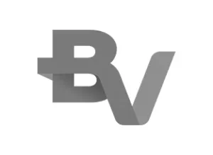 logo-bv